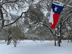 Texas flag against snowy landscape background