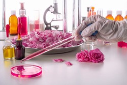 A gloved hand holds a pipettу over a petri dish in an up-to-date perfume laboratory. Background blurred