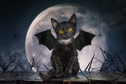 Black cat with bat wings. Full moon and rustic boards table. Thorny branches, cobwebs, and spiders, cloudy sky. Gothic dark abstraction for invitations or advertisements, posters, for All Saints Day