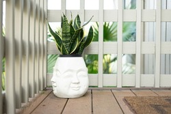 Snake plant in laughing buddha pot on deck with white railing