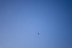 Plane flying near the crescent moon at sunrise in Florida