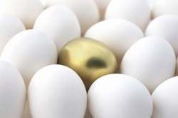 Gold egg surrounded by white eggs.