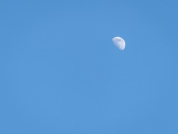rare appearance of a half moon in daylight against a clear sky