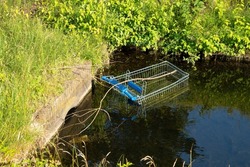Shopping cart dumped in the ditch.