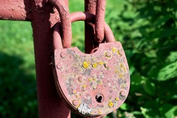 An old rusty lock, covered with moss and lichen on the gate. An abandoned garden. Close-up, macro