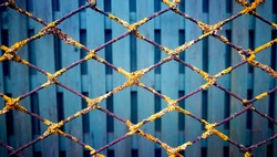 Iron grid with yellow lichen on the background of a green fence