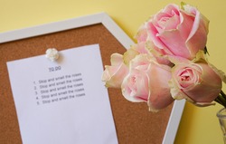 Pale pink with light green edged roses in front of bulletin board with blurred To Do list message to stop and smell the roses, all against a yellow painted wall.
