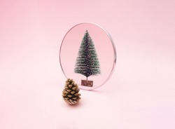 Pine cone look in to mirror and see new year green snow tree. Pink pastel background. Minimal holiday design and concept.