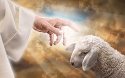 God reaching out to a lost sheep. Religious conceptual theme.