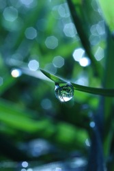raindrop on a stalk of grass in a meadow in which the setting sun is reflected