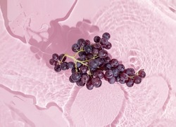 Fresh juicy black muscat grapes stand in water on pastel pink-purple background. Agricultural and food concept. Natural healthy fruit. Minimal flat lay. Idea of resveratrol and vitamins sources.