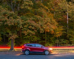 Fall foilage with red ford escape at Rock Creek Park