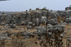 Unusual rock formations gratings the fantastic landscape of kaapsehoop in Mpumalanga,South Africa.