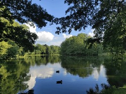 Mislakovice, Poland: beautiful sunny day at the lake in Palace Park (Polish: Mysłakowice). Nature scenery trees reflection on lake against blue sky