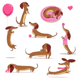 set with cute cartoon dachshund