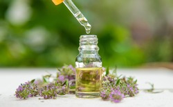 Thyme extract essential oil. Selective focus. nature green.