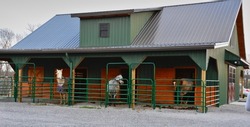 Horses standing behind bars at a horse barn. Each horse is in its own paddock and two have blankets.