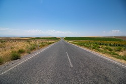 Countryroad vanishes on the horizon. Asphalt road in the steppe. Road in the agricultural fields. 