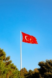 Turkish flag. Turkish flag with trees isolated on blue sky background. April 23 or may 19 or august 30 or september 29 background vertical photo. National days of Turkey.
