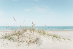 grass growing on a small sand dune at a white sand beach with the calm ocean in the background in bright and airy colors
