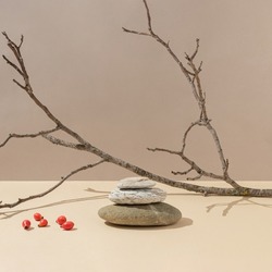 Natural rocks with tree branch and fresh red rose hip berries against bright beige and brown background. Creative autumn nature concept. Still life mock up trendy composition.