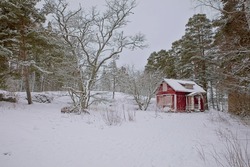 Abandond red wooden cabin with windows covered with plywood in forest with snow on the ground in winter, Kallahdenniemi, Helsinki, Finland.