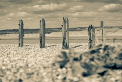 Remains Old destroyed pier on stony beach along Rother River and Rye Nature Reserve split toned for old-world effect.
