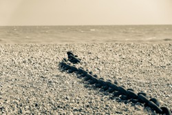 Rye Harbour Nature Reserve length old rusty heavy chain left lying on stony beach in split toned old-fashioned image style.