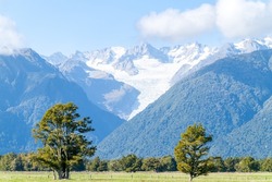 Beyond green farmland to foothills of Southern Alps and the popular tourist attraction of Fox Glacier, South Island New Zealand.