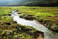 A small, clear watering river flows in the Suryakencana valley of Mount Gede