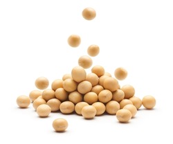 Soybean falling on a pile of soybeans isolated on white background