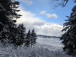 Snow covered trees and bushes framing a view of the Yaquina Bay