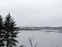 View of the Yaquina Bay at low tide in winter framed by trees