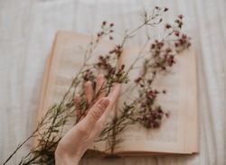 romantic literature: a woman's hand holds flowers over an open vintage book