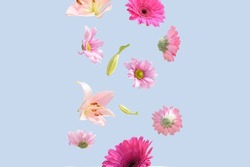 Flowers levitating on a pastel blue background. Colorful pink and purple trendy summer flowers flying. Surreal aesthetic nature spring concept.