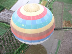 Coulourful Hot Air Balloon in rice fields