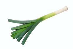 Top view of fresh leek isolated on white background