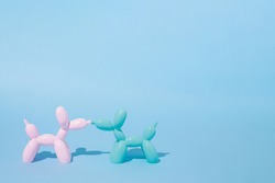 Two balloon dogs in love on pastel blue background. Love card. Layout. Flat design. Minimal valentines mood concept. Couple.
