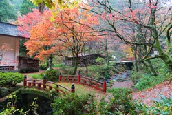 Japanese bridge in the autumn forest