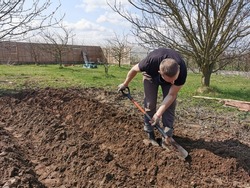 Digging, digging up the home garden, vegetable garden