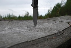 Sharp metal knife blade. A hunting knife with a wide steel blade is stuck into the wooden surface of the forest bench. Sharp blade in grey. Behind him are green trees and the sky.