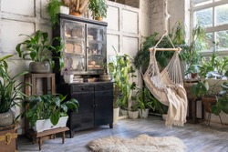 Cozy rope swing in living room with green houseplants in flower pot and black vintage chest of drawers. Comfort room with furniture in house with modern interior design