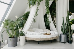 Boho and urban jungle interior design. Light cozy bedroom made in white colors with round canopy bed. Bright room in bohemian style decorated with green tropical potted plants