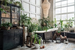 Freestanding classic bath with hanging towel in light cozy boho chic bathroom with lots of greenery and antique furniture, black vintage cabinet with potted plants and candles on wooden floor