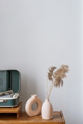 Old fashioned vinyl player close to dry plants in vase, standing against white copy space wall. Close up and vertical view of retro style objects in living room. Vintage elements at interior
