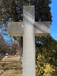 A plain stone cross marking a grave in a wooded cemetery