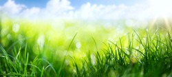 art abstract spring background or summer background with fresh grass