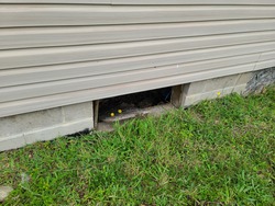 An open and exposed hole under a home. This hole in the foundation is where a window used to be, but is now a space for critters and vermin to enter the house.