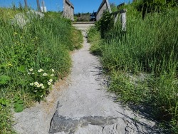 A sandy path leading from a beach to a wooden staircase.