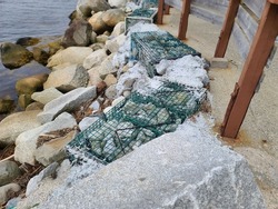 Lobster traps filled with rocks stationed along a shoreline to prevent erosion. 